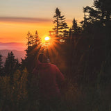 “If the Trees Could Sing” Original Oil Painting