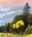 “Waking Up With The Mountain” Original Oil Painting