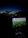 “Vermont Romance” Original Oil Painting