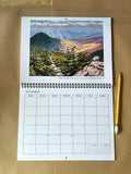 2026 Carrie Pill Art Calendar