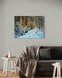 “Gold Rush” Original Oil Painting