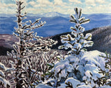 “Bluebird View” Original Oil Painting