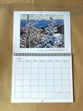 2026 Carrie Pill Art Calendar