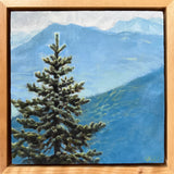 Spruce Blue View