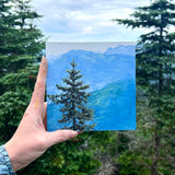 Spruce Blue View